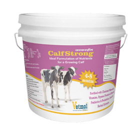 CalfStrong