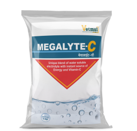 Megalyte-C