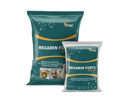  Megamin Forte