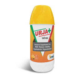 Urjaplus