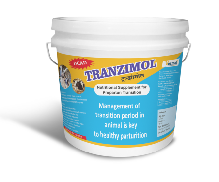  Tranzimol